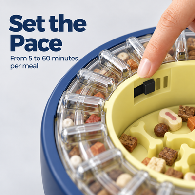 SpinFeeder™ Adjustable Slow Feeder Bowl